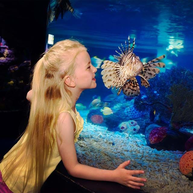 SEA LIFE Manchester